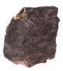 NWA869 Stony Meteorite With Fusion Crust - 3