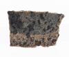 Martian Meteorite Section of NWA 1195