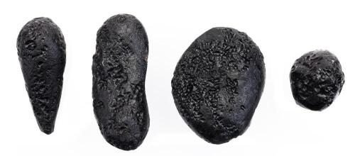 Four Major Shapes of Indochinite Tektites
