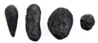 Four Major Shapes of Indochinite Tektites