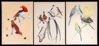 Three Early 20th Century Japanese Origingal Bird Woodblock Watercolors. "Exquisite Birds of the World"