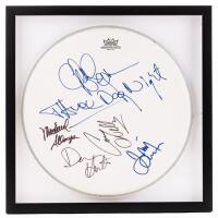 Rock Legends' Signatures: Neil Young, Ian Anderson, Robert Plant, and Three Dog Night Signed Drum Head