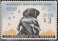Hunting Permit, 1959, $3 Labrador Retriever