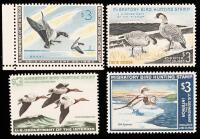 Hunting Permit, RW 30-32, 34