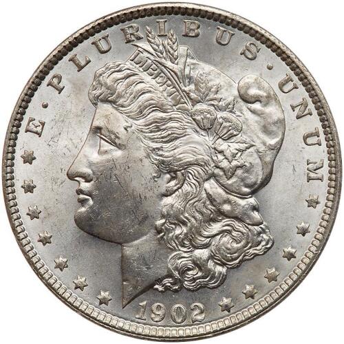 1902 Morgan $1
