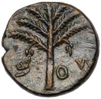 Judaea, Bar Kokhba Revolt. &Atilde;&dagger; Medium Bronze (11.35 g), 132-135 CE