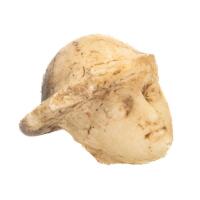 Greco-Roman Alabaster Male Head Fragment