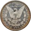 1882-S Morgan Dollar. INS graded MS65 DMPL only on the obverse - 3