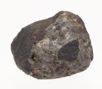 Allende Meteorite
