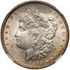 1878 Morgan $1. 7 Tail Feathers, Rev of 1878 NGC MS64