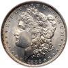 1882-O Morgan $1