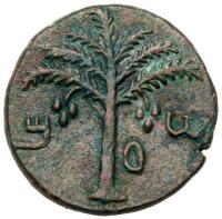Judaea, Bar Kokhba Revolt. &Atilde;&dagger; Medium Bronze (9.50 g), 132-135 CE