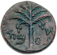 Judaea, Bar Kokhba Revolt. &Atilde;&dagger; Medium Bronze 25 mm (11.87 g), 132-135 CE