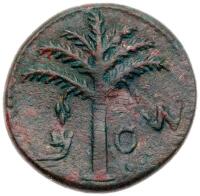 Judaea, Bar Kokhba Revolt. &Atilde;&dagger; Medium Bronze 24 mm (10.26 g), 132-135 CE