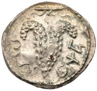 Judaea. Bar Kokhba Revolt. Silver Zuz (3.26 g), 132-135 CE.
