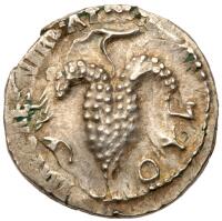 Judaea. Bar Kokhba Revolt. Silver Zuz (3.04 g). 132-135 CE