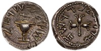 The Jewish War, AD 66-70. Year One, Silver Shekel (13.91g) 22mm