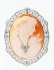 Exceptional 14K White Gold and Shell Cameo. Tiny Accent Diamonds Create the Illusion of a Necklace. Beautiful Piece