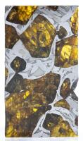 Rare Polished Fukang Pallasite Section