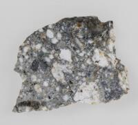 Lunar Meteorite NWA 5000 .490 Gram Section