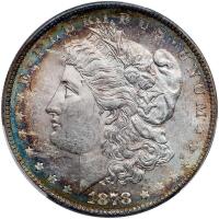 1878 Morgan $1. 8 Tail Feathers