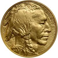 2006. $50.00 Gold Buffalo 1 ozt .9999 Fine