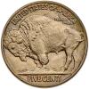 1915 Buffalo 5C Matte Proof 60 plus - 2
