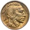1917 Buffalo 5C PCGS MS64