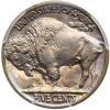 1920 Buffalo 5C PCGS MS65 - 2
