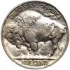 1924 Buffalo 5C PCGS MS64 - 2