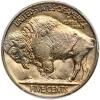 1926 Buffalo 5C PCGS MS65 - 2