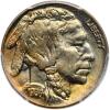 1934 Buffalo 5C PCGS MS66