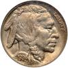 1934-D Buffalo 5C NGC MS64