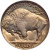 1934-D Buffalo 5C NGC MS64 - 2