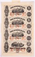 New Jersey 18__Uncut Sheet of 4 from The Newton Sussex Bank