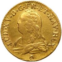 France. Louis d'or aux lunettes, 1729-Q (Perpignan) PCGS XF