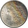 1882-CC GSA Morgan Dollar - 2
