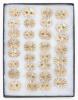 Remarkable Collection of 31 Rare Ancient Assyrian Shell Ornaments Used on Horse Tack (Bridles & Reins) Almost All with Original