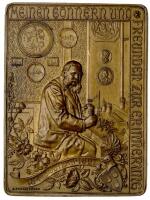 Austria. Bronze Plaque, 1904 XF