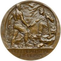 Austria. Bronze Medal, 1905 Unc