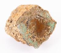 Green Chromium Petrified 5 x 4 Inch Wood Log