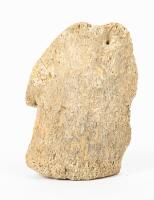 Duckbill Dinosaur Toe Bone
