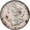 1899 Morgan $1 Sharpness of Mint State
