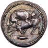 Macedonia, Akanthos. Silver Tetradrachm (17.11 g), ca. 425 BC - 3