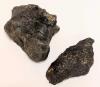 Rare Jurassic Sauropod Foot Claw and Metatarsal