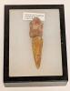 Spinosaurus Foot Claw and Toe Bone