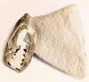 Earliest 32 Million Year Old Dog Skull