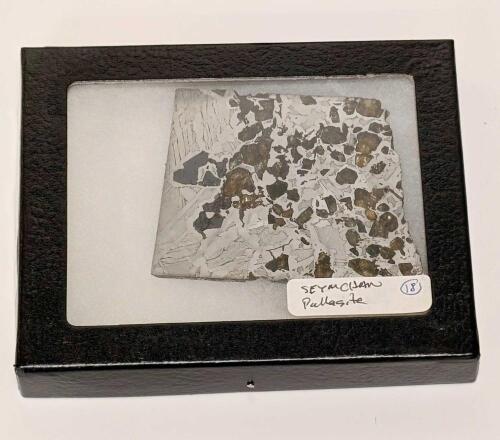 Meteorite Seymchan Pallasite
