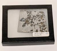 Meteorite Seymchan Pallasite