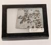 Meteorite Seymchan Pallasite